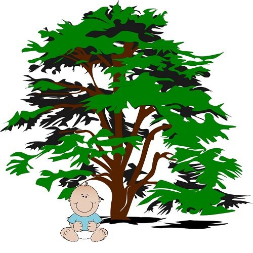 Baby-Sitting-Under-a-Tree